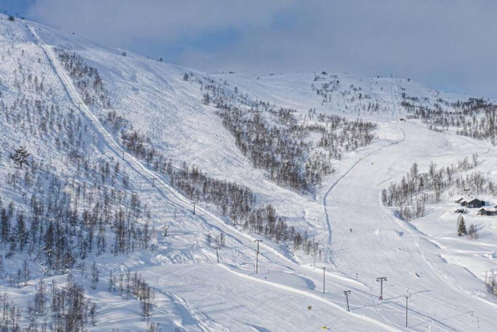 Ferienwohnung Leilighet - Panorama View - Sogndal Skisenter Hodlekve Exterior foto